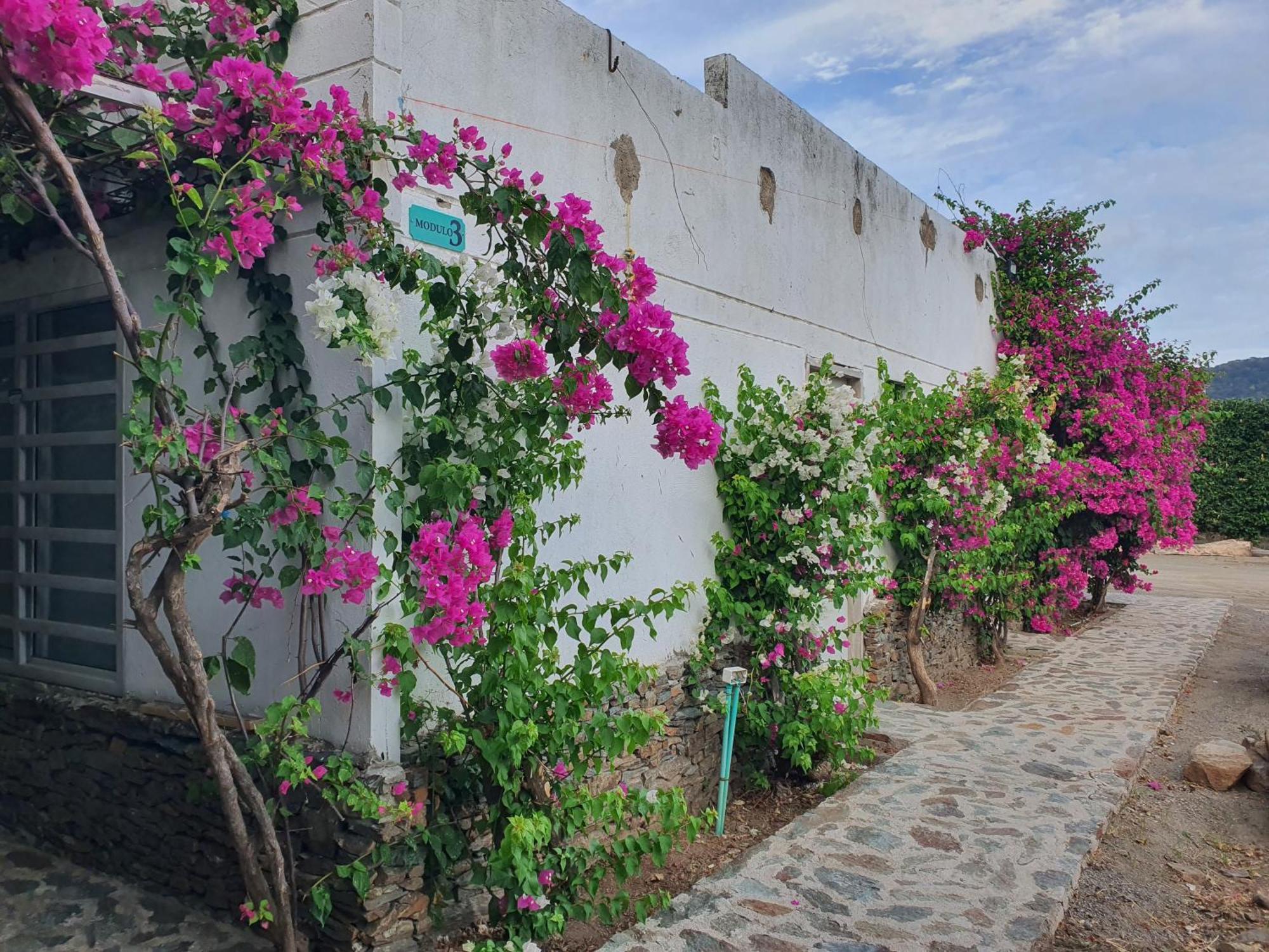 Hotel Tayrona Bahia Concha Экстерьер фото